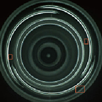 胚口黑點、異物